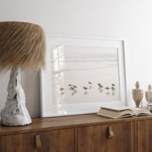 Load image into Gallery viewer, Shorebirds