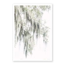 Load image into Gallery viewer, Spanish Moss 2