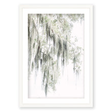 Load image into Gallery viewer, Spanish Moss 2
