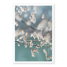 Load image into Gallery viewer, Winged Elm