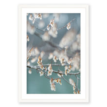 Load image into Gallery viewer, Winged Elm