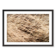 Load image into Gallery viewer, Appalachian Fall 9