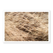 Load image into Gallery viewer, Appalachian Fall 9