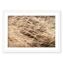 Load image into Gallery viewer, Appalachian Fall 9