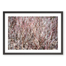 Load image into Gallery viewer, Appalachian Fall 12