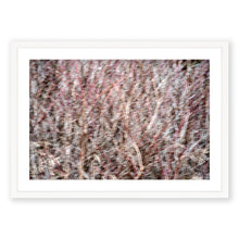 Load image into Gallery viewer, Appalachian Fall 12