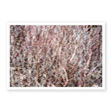 Load image into Gallery viewer, Appalachian Fall 12