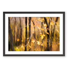 Load image into Gallery viewer, Appalachian Fall 11