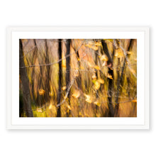 Load image into Gallery viewer, Appalachian Fall 11
