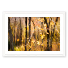 Load image into Gallery viewer, Appalachian Fall 11