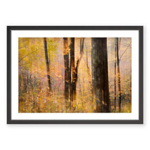 Load image into Gallery viewer, Appalachian Fall 13