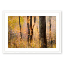 Load image into Gallery viewer, Appalachian Fall 13
