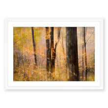 Load image into Gallery viewer, Appalachian Fall 13