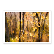 Load image into Gallery viewer, Appalachian Fall 11