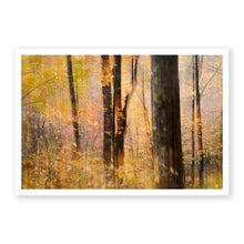 Load image into Gallery viewer, Appalachian Fall 13