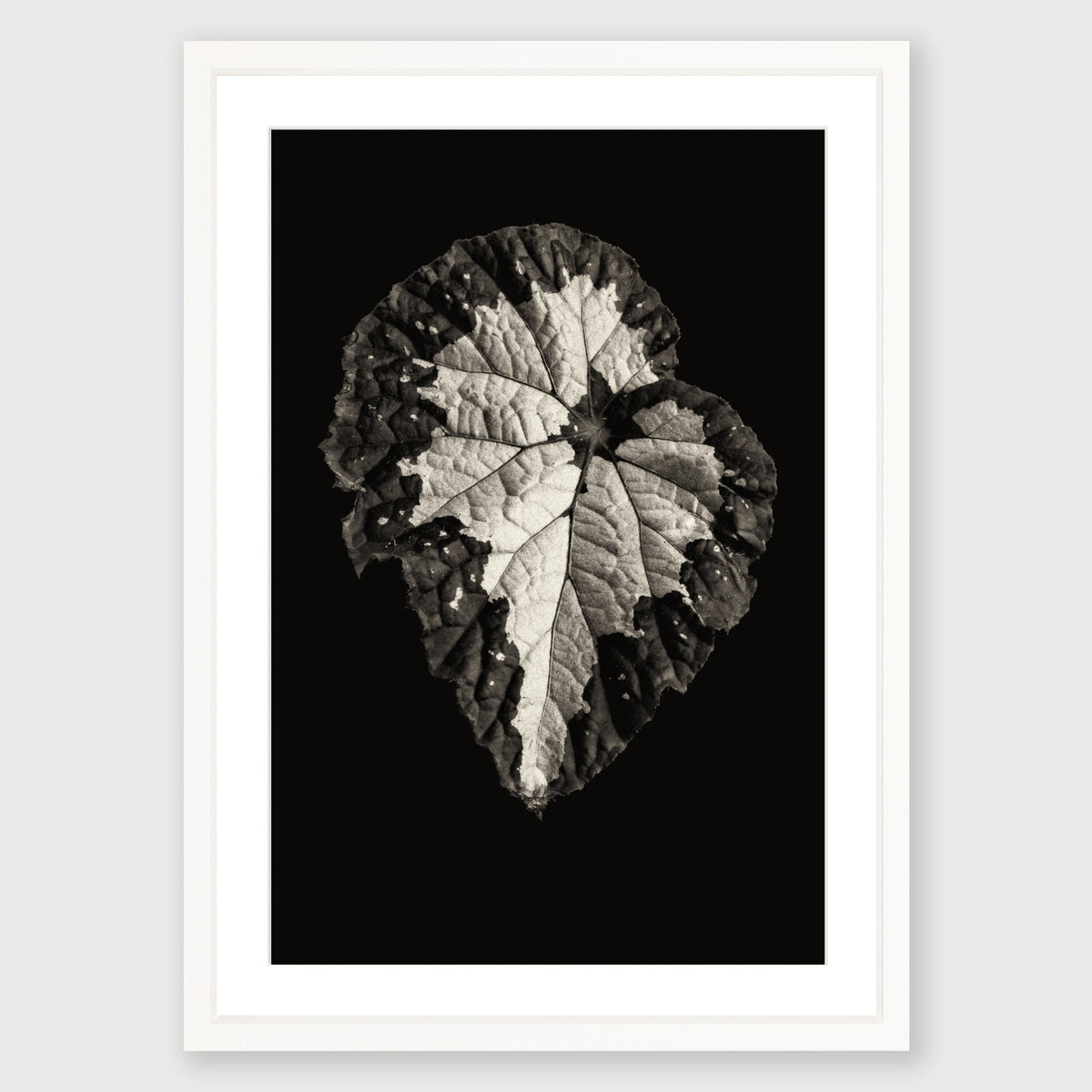 BOTANICAL