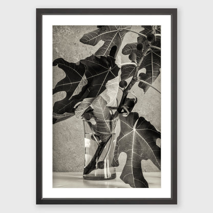 Fig Leaf 3
