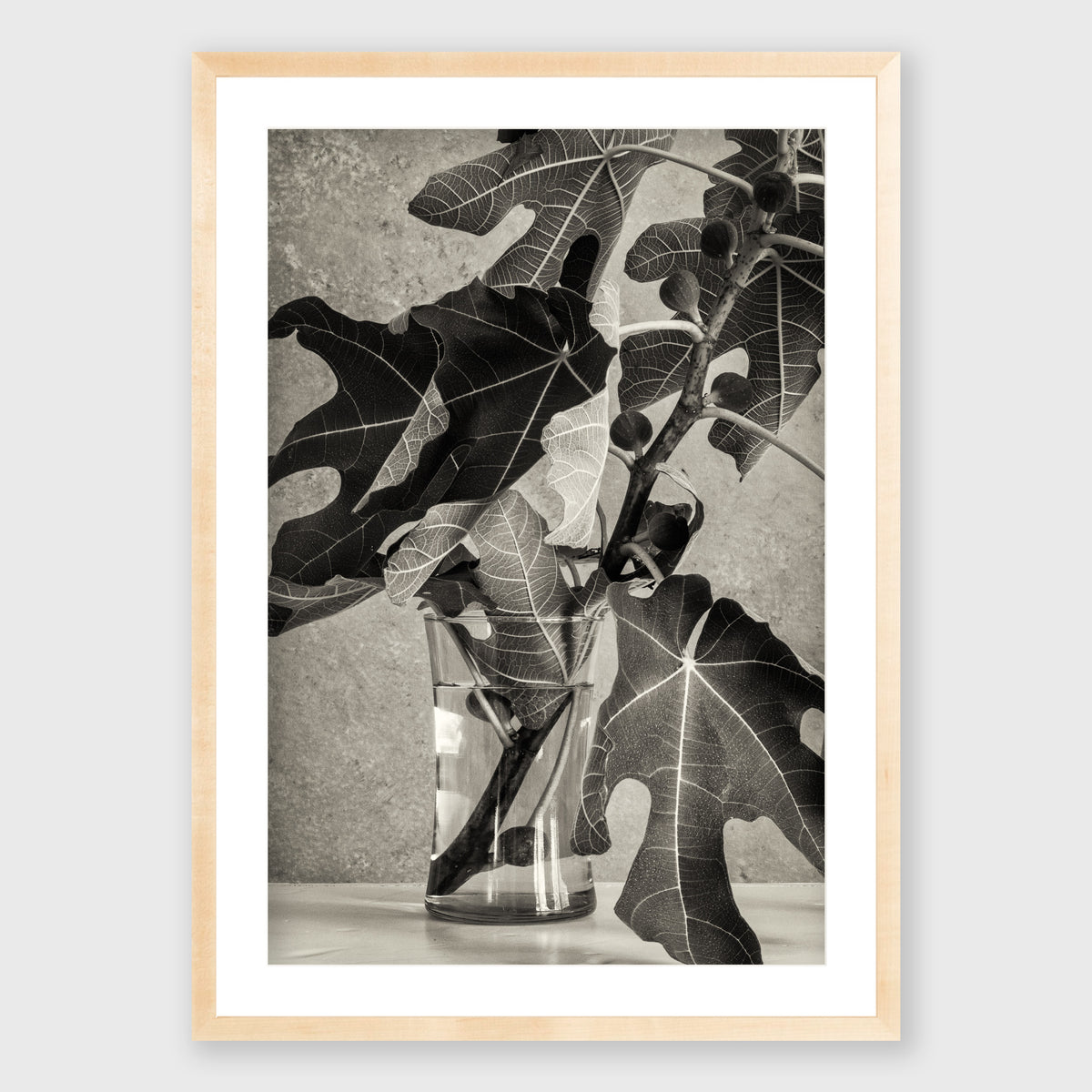 Fig Leaf 3