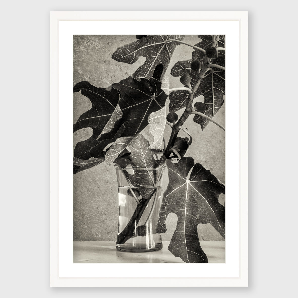 Fig Leaf 3