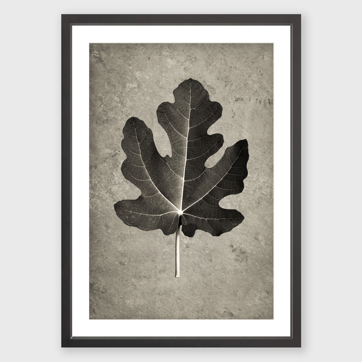 Fig Leaf 4
