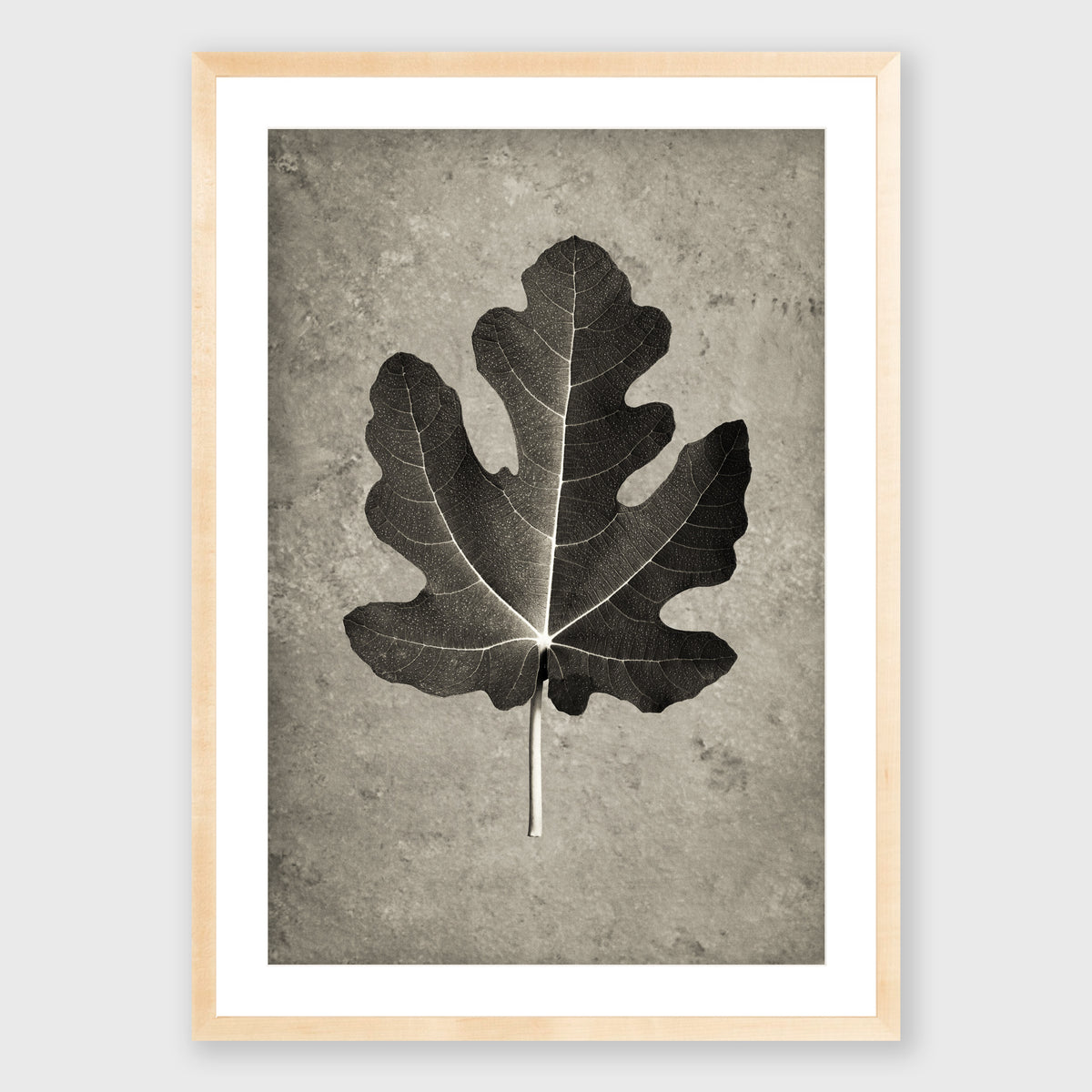 Fig Leaf 4