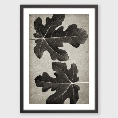 Fig Leaf 5