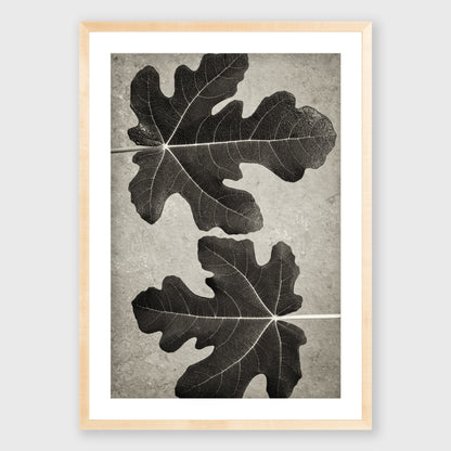 Fig Leaf 5