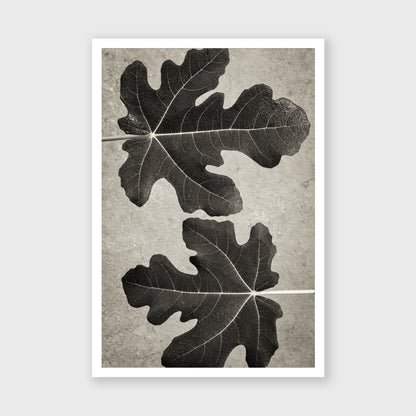Fig Leaf 5