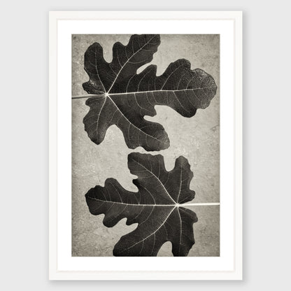 Fig Leaf 5