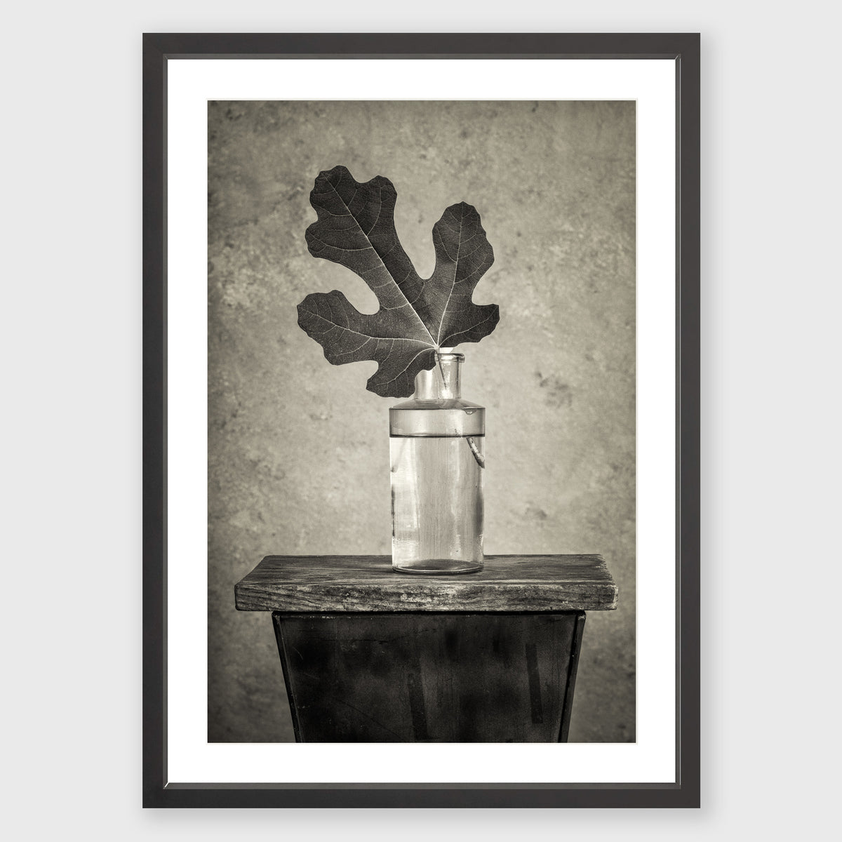 Fig Leaf 12