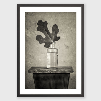 Fig Leaf 12