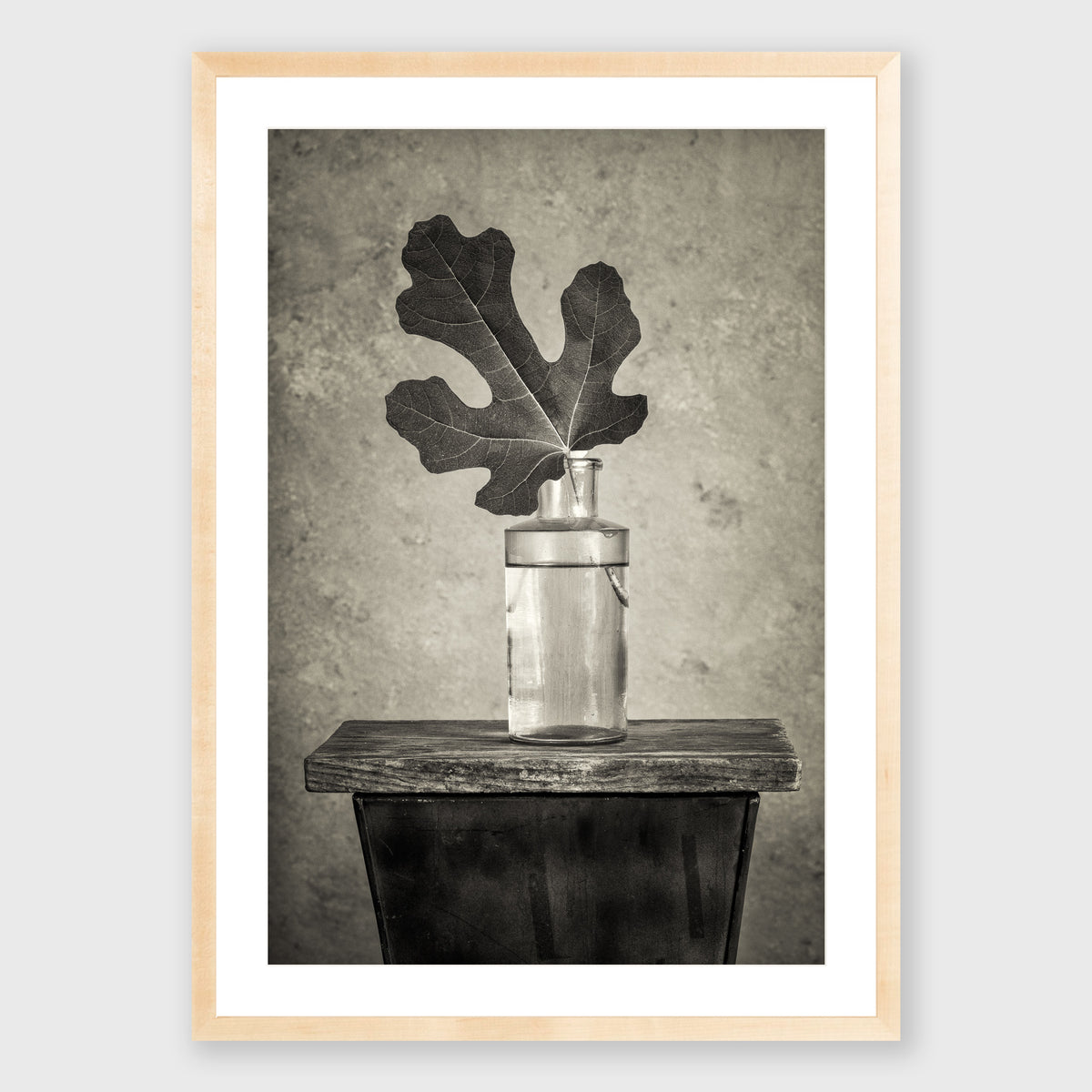 Fig Leaf 12