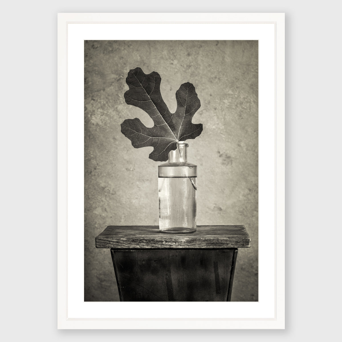 Fig Leaf 12