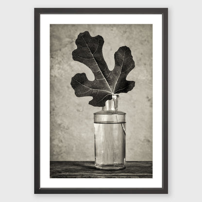 Fig Leaf 13
