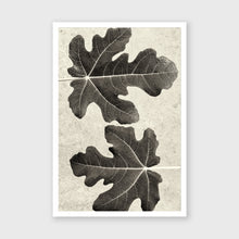 Load image into Gallery viewer, Fig_1
