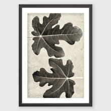 Load image into Gallery viewer, Fig_1
