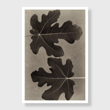 Load image into Gallery viewer, Fig 4
