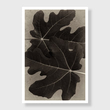 Load image into Gallery viewer, Fig 3
