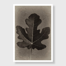 Load image into Gallery viewer, Fig 1
