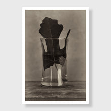 Load image into Gallery viewer, Fig 5
