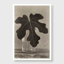 Load image into Gallery viewer, Fig 6
