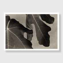 Load image into Gallery viewer, Fig 9
