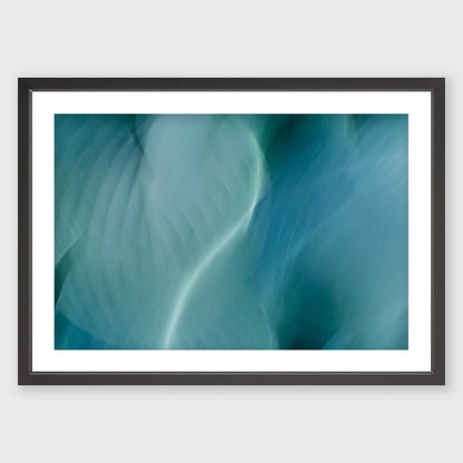 Hosta Blur 3