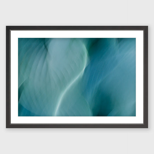 Hosta Blur 3