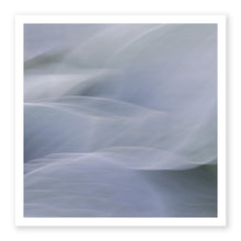 Load image into Gallery viewer, Hosta 4
