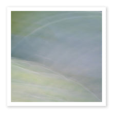 Load image into Gallery viewer, Pastel Hosta
