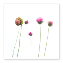Load image into Gallery viewer, Thistle
