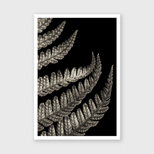 Fern Study 3