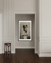 Load and play video in Gallery viewer, Solo Elephant Ear
