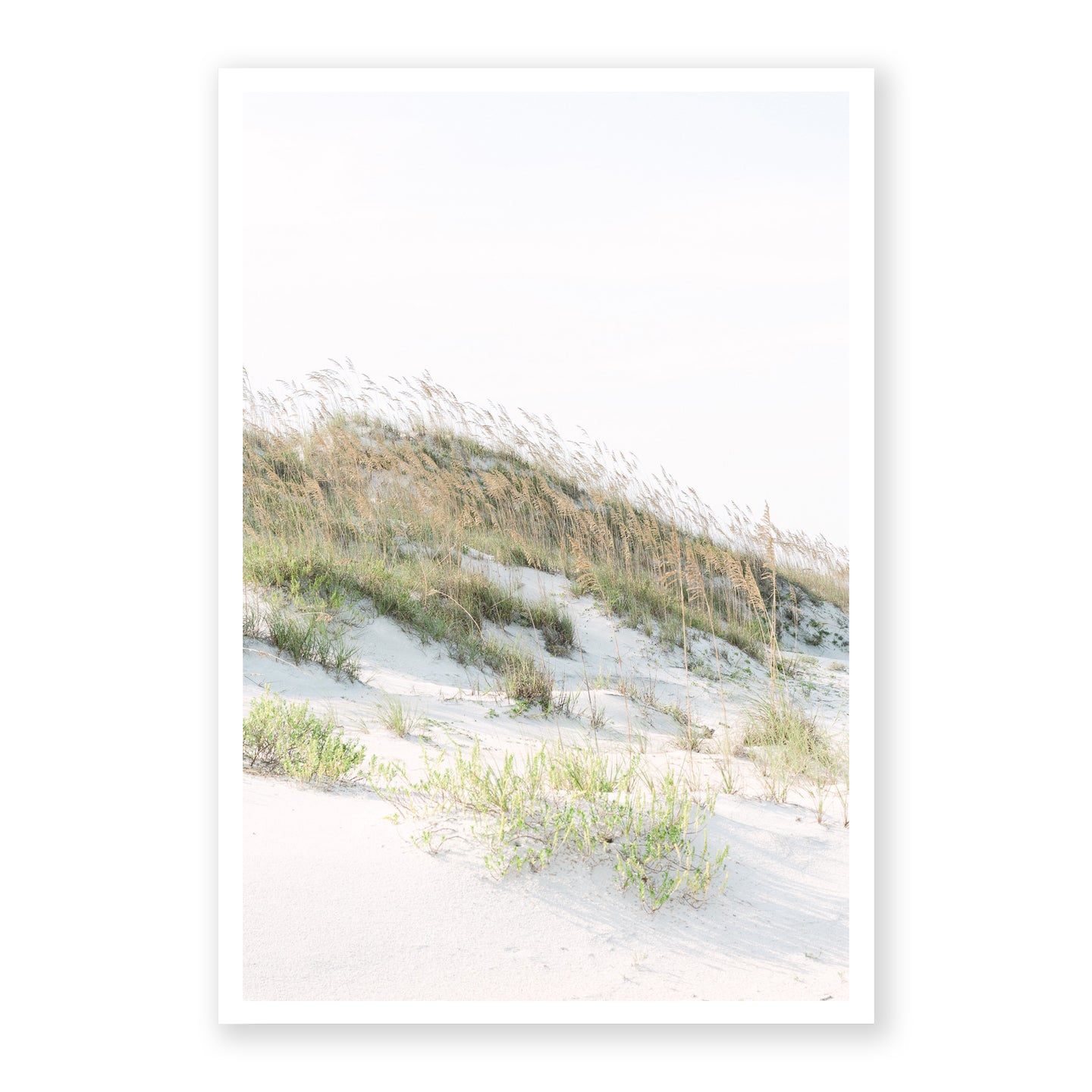 Ocean Dunes
